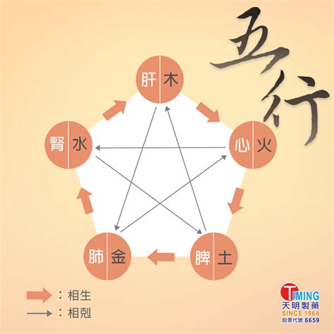 身體五行|中醫知識 